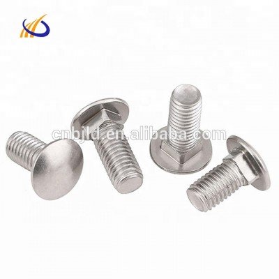 hot selling  round head long neck titanium carriage bolt and nuts  in store