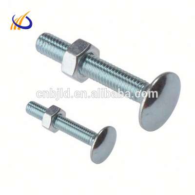 Titanium Carriage Bolt an nut